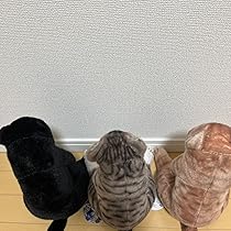 Amazon.co.jp: すわっちぃzoo にゃんこ 4 リアル ねこ